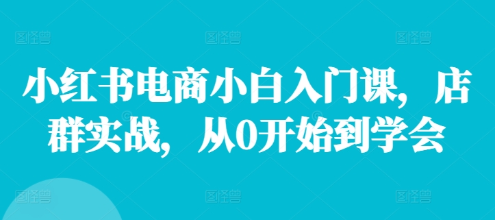 小红书电商小白入门课，店群实战，从0开始到学会-chywc