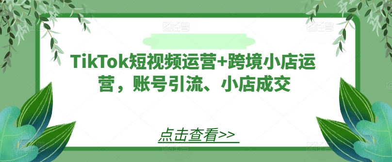 TikTok短视频运营+跨境小店运营，账号引流、小店成交-chywc