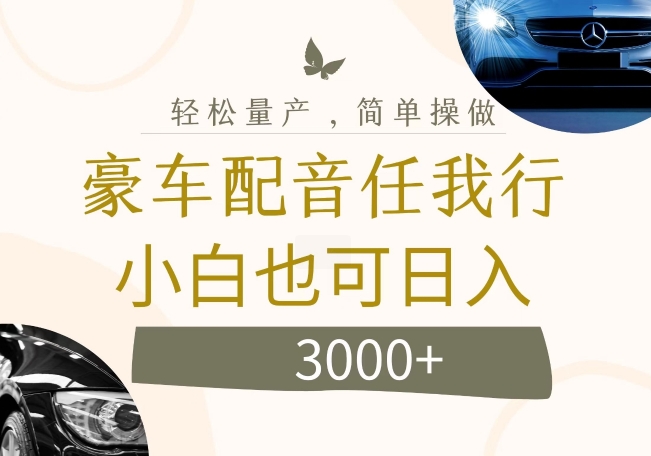 不为人知的暴力小项目，豪车配音，日入几张【揭秘】-chywc
