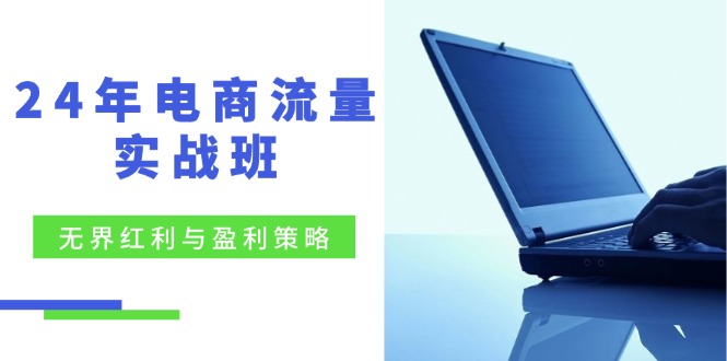 24年电商流量实战班：无界 红利与盈利策略，终极提升/关键词优化/精准…-chywc