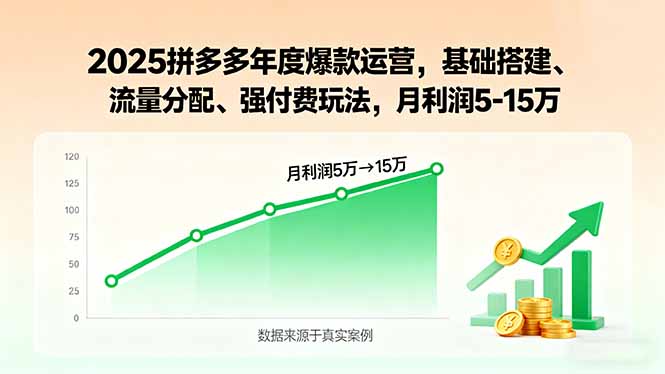 2025拼多多年度爆款运营，基础搭建、流量分配、强付费玩法，月利润5-15万-chywc