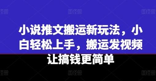 小说推文搬运新玩法，小白轻松上手，搬运发视频让搞钱更简单-chywc