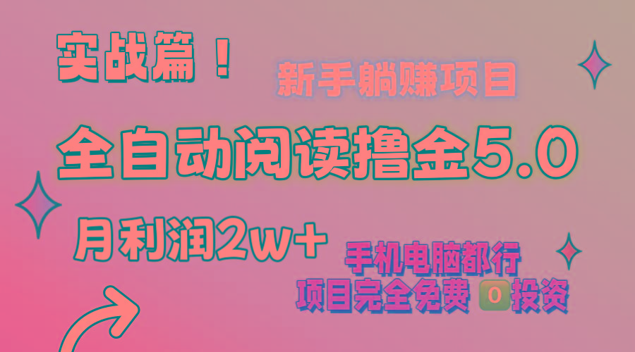 小说全自动阅读撸金5.0 操作简单 可批量操作 零门槛！小白无脑上手月入2w+-chywc