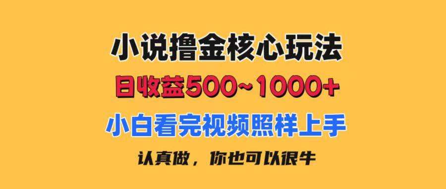 小说撸金核心玩法，日收益500-1000+，小白看完照样上手，0成本有手就行-chywc