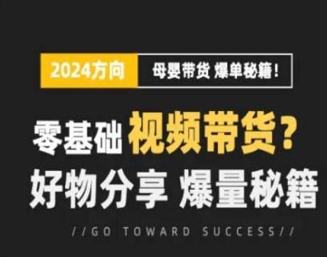 短视频母婴赛道实操流量训练营，零基础视频带货，好物分享，爆量秘籍-chywc