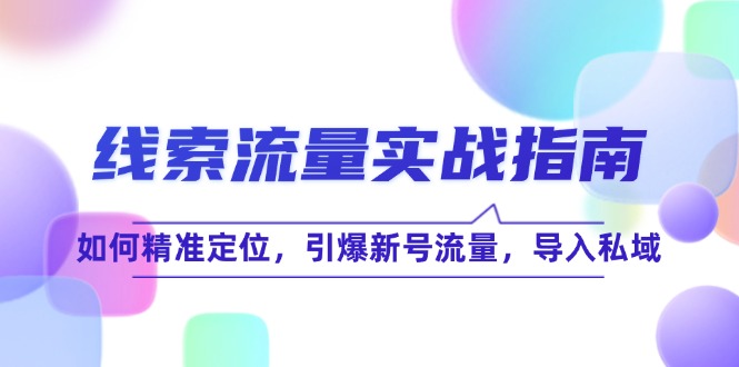 线 索 流 量-实战指南：如何精准定位，引爆新号流量，导入私域-chywc