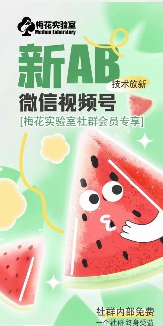 梅花实验室2024年AB技术视频号AB合成破解版-chywc
