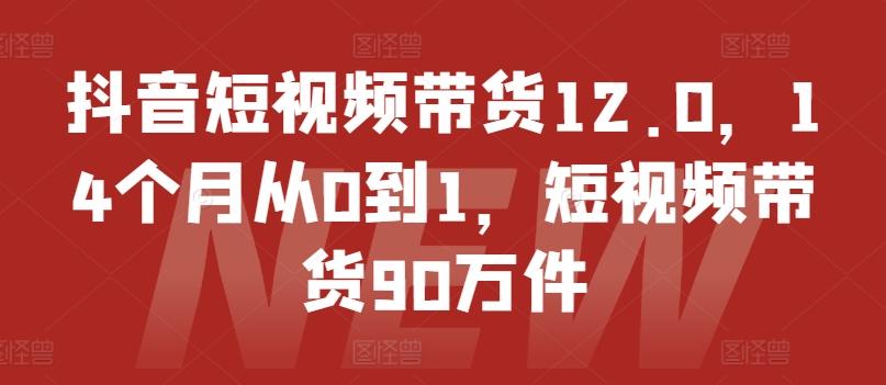 抖音短视频带货12.0，14个月从0到1，短视频带货90万件-chywc