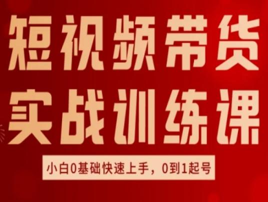 短视频带货实战训练课，好物分享实操，小白0基础快速上手，0到1起号-chywc