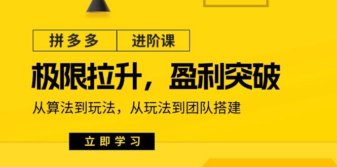 拼多多·进阶课：极限拉升/盈利突破：从算法到玩法 从玩法到团队搭建-18节-chywc