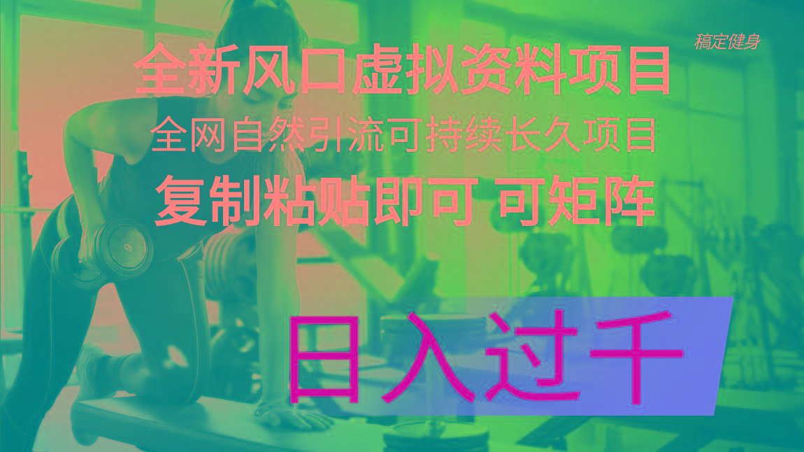 全新风口虚拟资料项目 全网自然引流可持续长久项目 复制粘贴即可可矩阵…-chywc