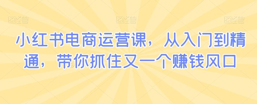 小红书电商运营课，从入门到精通，带你抓住又一个赚钱风口-chywc