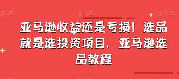 亚马逊收益还是亏损！选品就是选投资项目，亚马逊选品教程-chywc