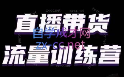 婉婉·直播带货课程系列合集(更新8月)-chywc