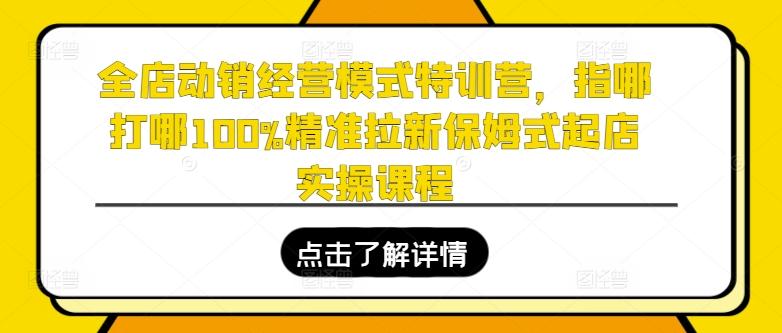 全店动销经营模式特训营，指哪打哪100%精准拉新保姆式起店实操课程-chywc