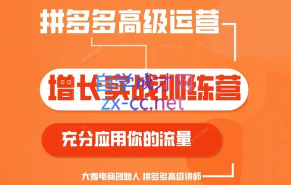 大麦老师·拼多多单品爆款打造课程(更新6月)-chywc
