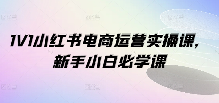 1V1小红书电商运营实操课，新手小白必学课-chywc