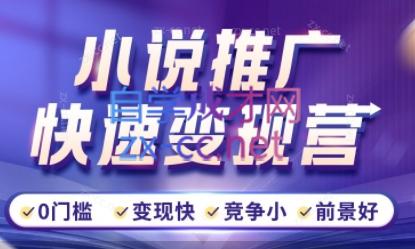 洲洲老师·小说推广快速变现营-chywc