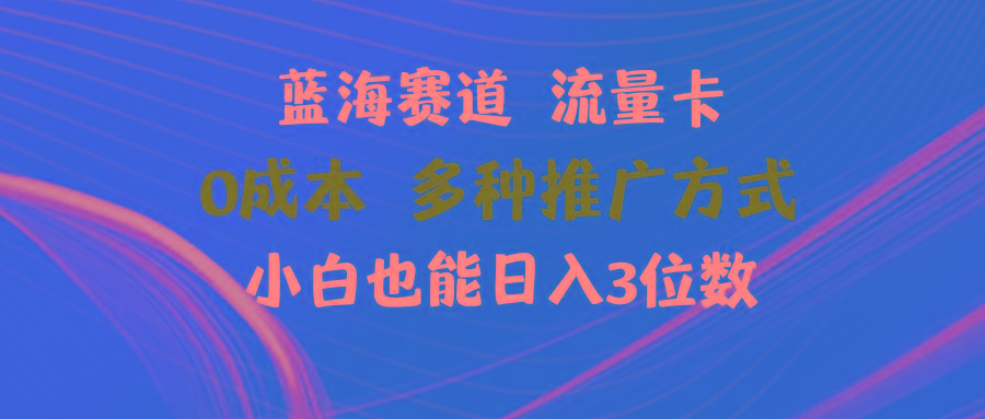 蓝海赛道 流量卡 0成本 小白也能日入三位数-chywc