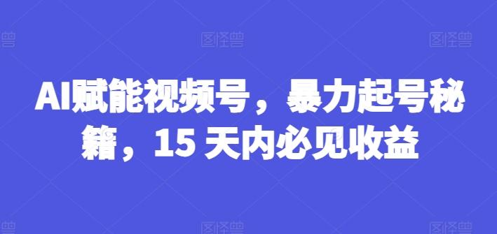 AI赋能视频号，暴力起号秘籍，15 天内必见收益【揭秘】-chywc