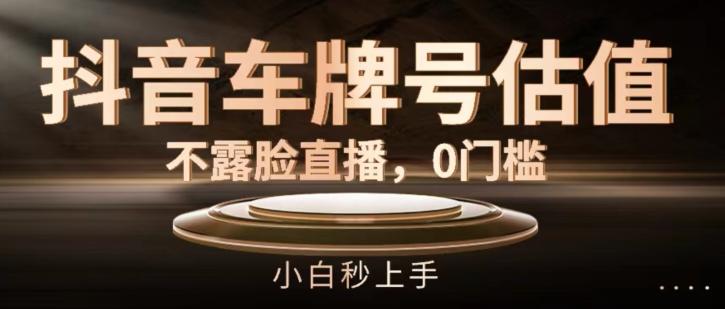 抖音车牌号估值，不露脸直播，0门槛，小白秒上手【揭秘】-chywc