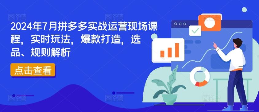 2024年7月拼多多实战运营现场课程，实时玩法，爆款打造，选品、规则解析-chywc