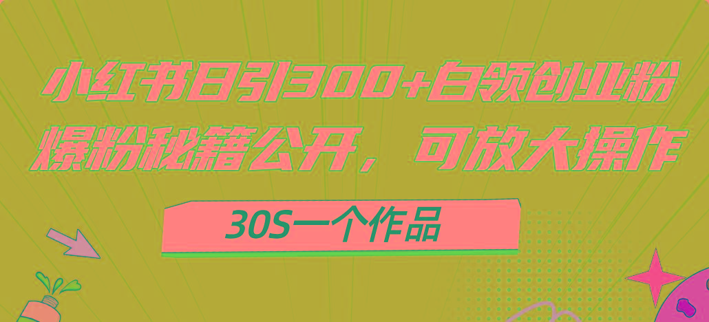 小红书日引300+高质白领创业粉，可放大操作，爆粉秘籍！30s一个作品-chywc