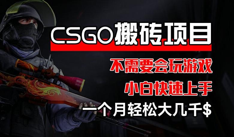 CSGO 装备搬砖项目，操作简单，不需要会玩游戏，小白也能快速上手，一个月轻松大几千【揭秘】-chywc