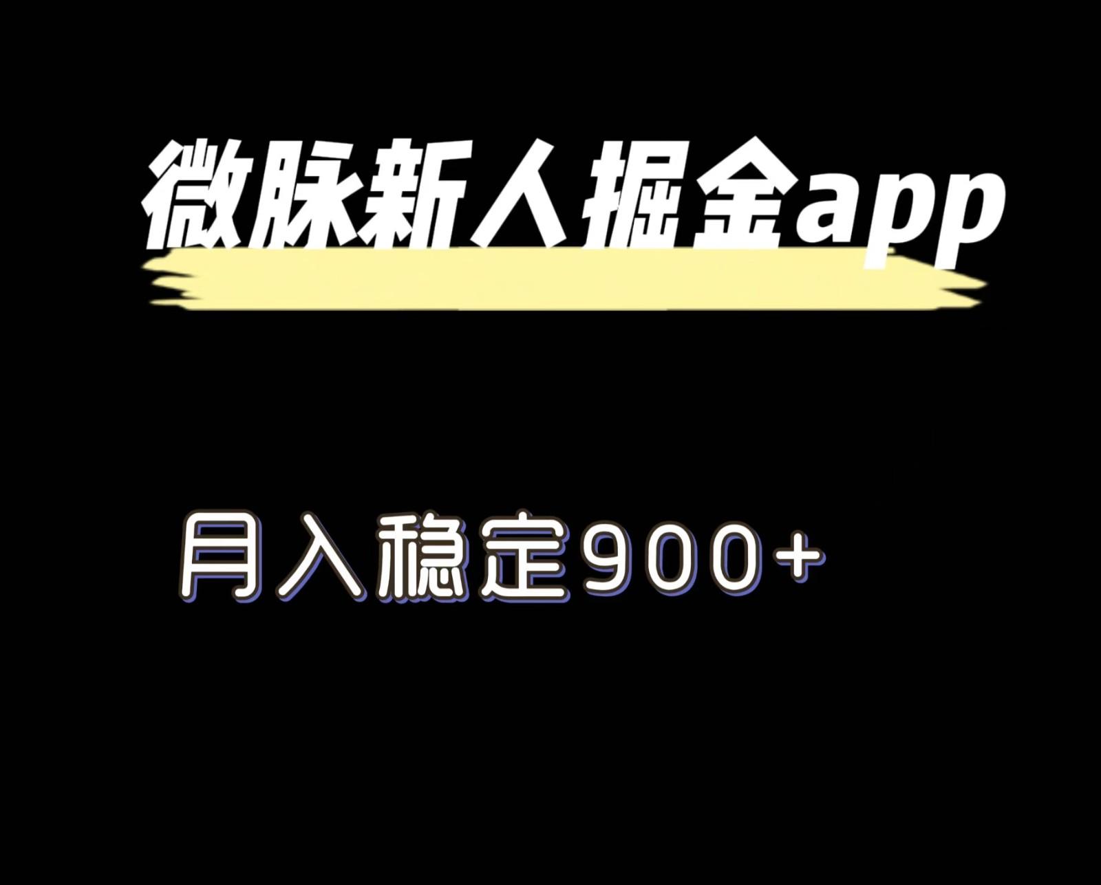 最新微脉长久项目，拉新掘金，月入稳定900+-chywc