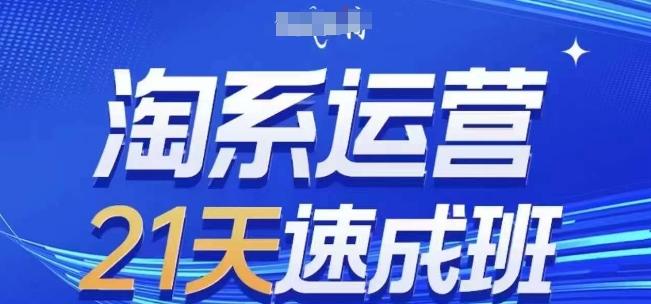 淘系运营21天速成班(更新24年7月)，0基础轻松搞定淘系运营，不做假把式-chywc