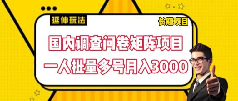 国内调查问卷矩阵项目，一人批量多号月入3000【揭秘】-chywc
