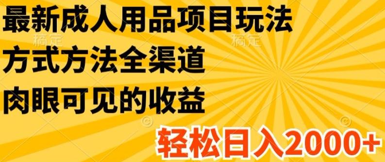 最新成人用品项目玩法，方式方法全渠道，轻松日入2K+【揭秘】-chywc