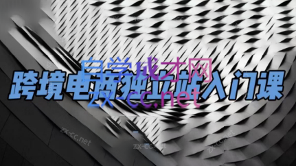 团长·跨境电商独立站入门课(2小时精华)-chywc