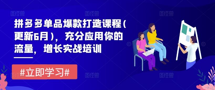拼多多单品爆款打造课程(更新6月)，充分应用你的流量，增长实战培训-chywc