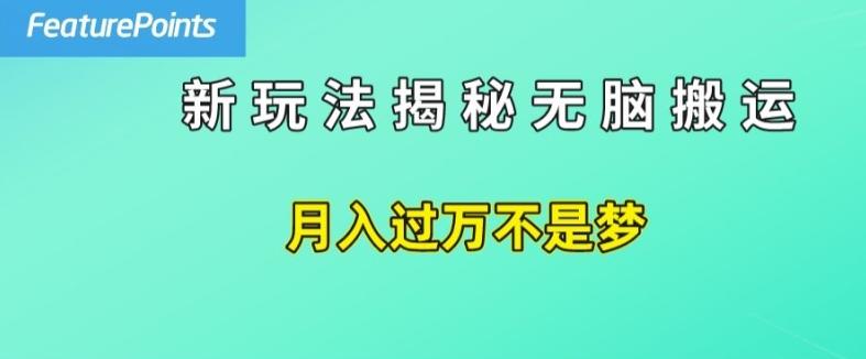 简单操作，每天50美元收入，搬运就是赚钱的秘诀【揭秘】-chywc