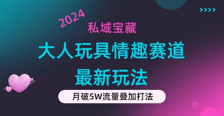 私域宝藏：大人玩具情趣赛道合规新玩法，零投入，私域超高流量成单率高-chywc