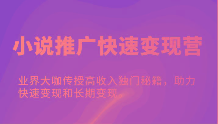 小说推广快速变现营-业界大咖传授高收入独门秘籍，助力快速变现和长期变现。-chywc