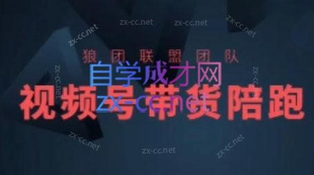 狼团联盟·2024视频号带货-chywc