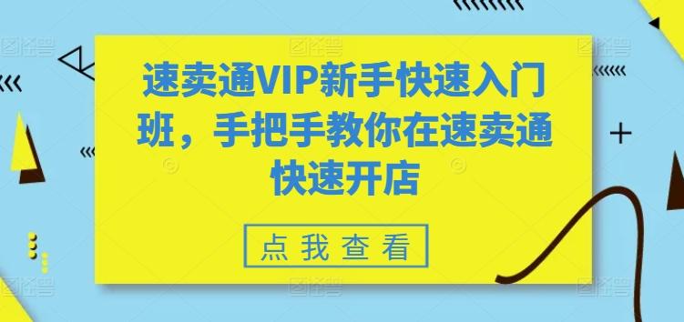 速卖通VIP新手快速入门班，手把手教你在速卖通快速开店-chywc