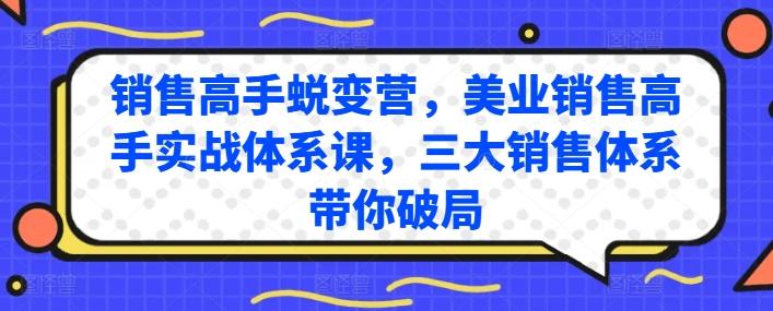 销售高手蜕变营，美业销售高手实战体系课，三大销售体系带你破局-chywc