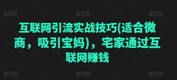 互联网引流实战技巧(适合微商，吸引宝妈)，宅家通过互联网赚钱-chywc