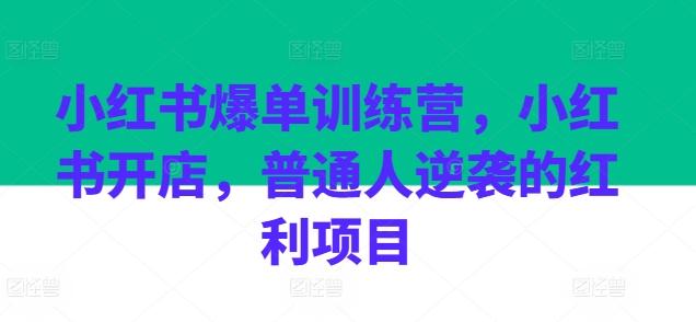 小红书爆单训练营，小红书开店，普通人逆袭的红利项目-chywc