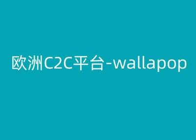 欧洲C2C平台-wallapop-kim跨境电商教程-chywc