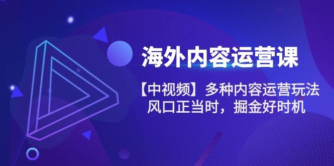 海外内容 运营课【中视频】多种内容运营玩法 风口正当时 掘金好时机-101节-chywc