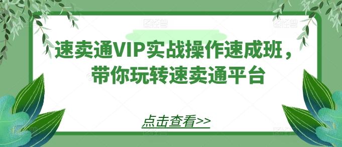 速卖通VIP实战操作速成班，带你玩转速卖通平台-chywc