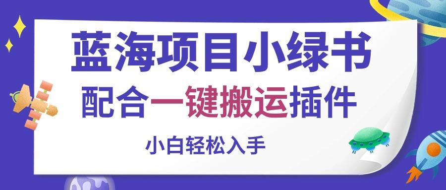 蓝海项目小绿书，配合一键搬运插件，小白轻松入手-chywc