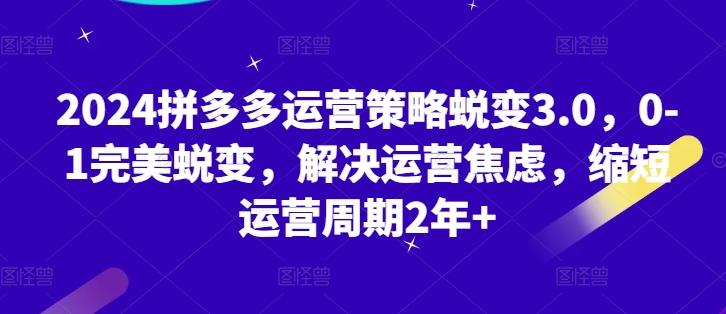 2024拼多多运营策略蜕变3.0，0-1完美蜕变，解决运营焦虑，缩短运营周期2年+-chywc