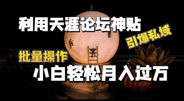 利用天涯论坛神贴，引爆私域，批量操作，小白轻松月入过w【揭秘】-chywc