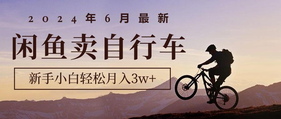 2024年6月最新闲鱼卖自行车，新手小白轻松月入3w+项目-chywc