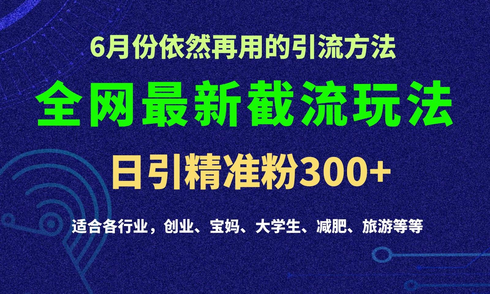 2024全网最新截留玩法，每日引流突破300+-chywc